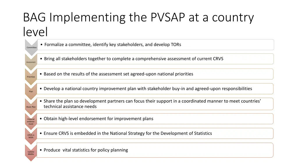 bag implementing the pvsap at a country level