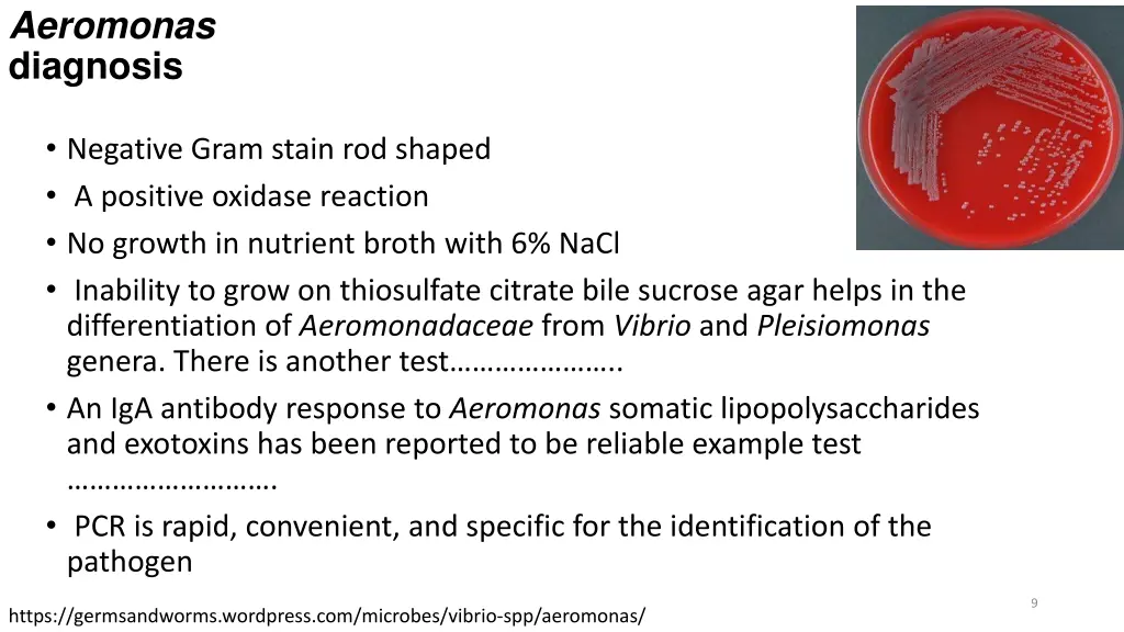 aeromonas diagnosis