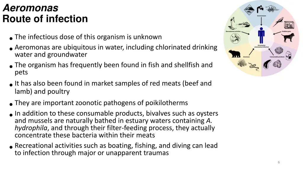 aeromonas route of infection