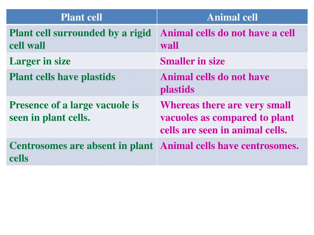 plant cell