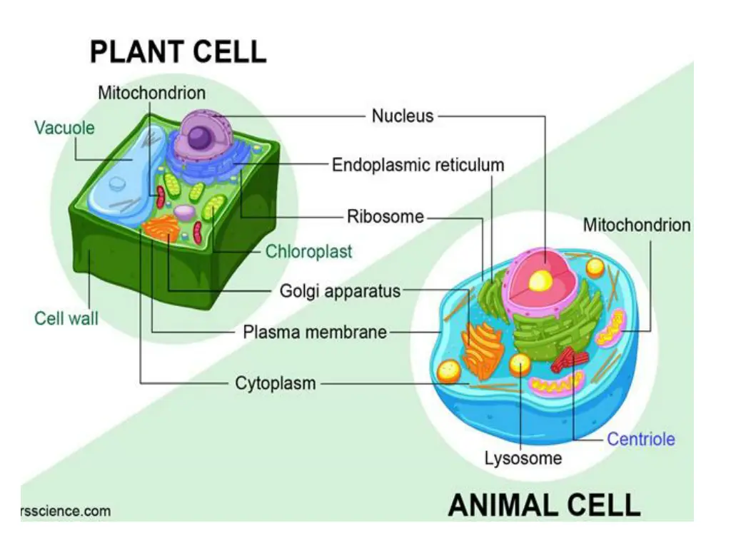 slide10