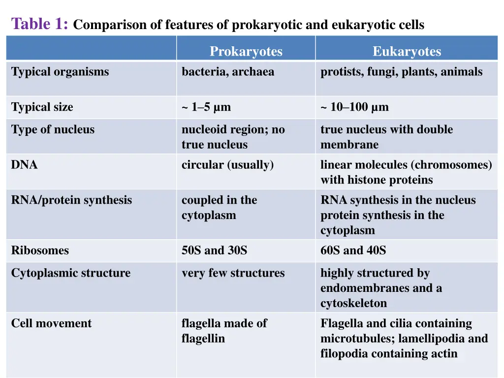 table 1 comparison of features of prokaryotic