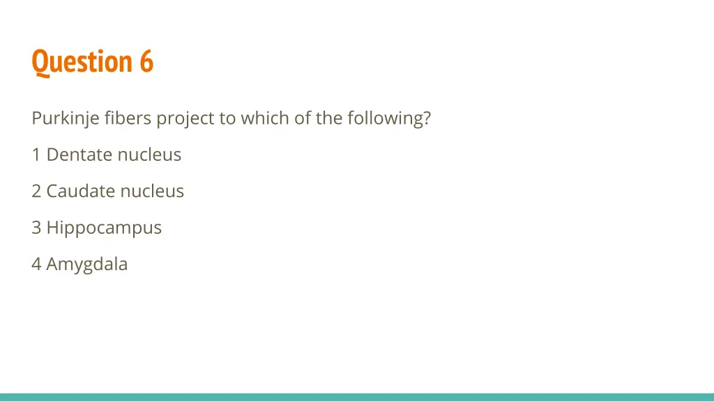 question 6