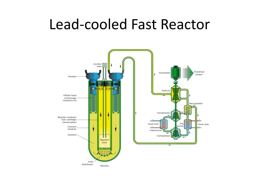 lead cooled fast reactor