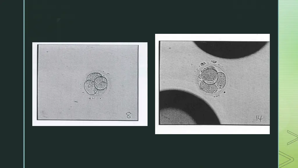 slide6