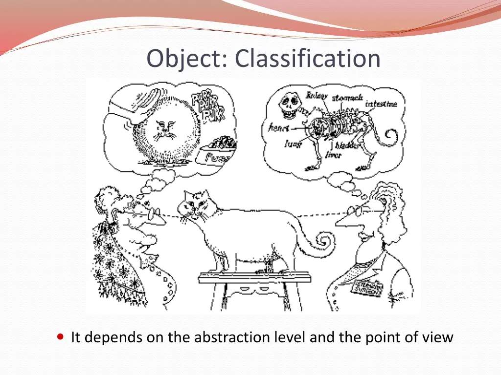 object classification