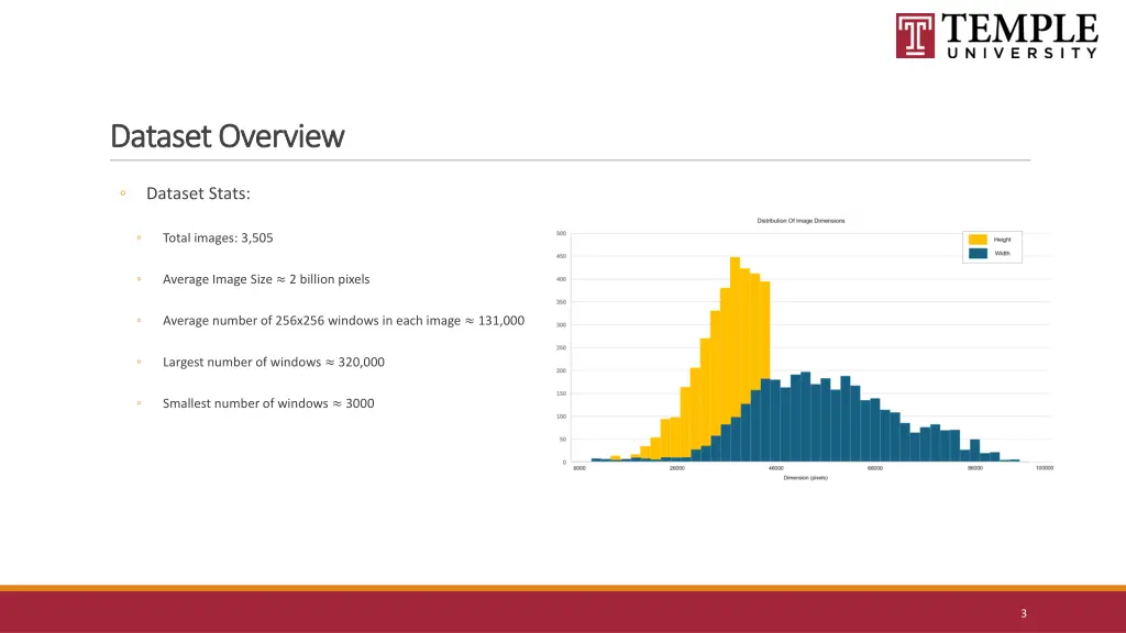 dataset overview dataset overview