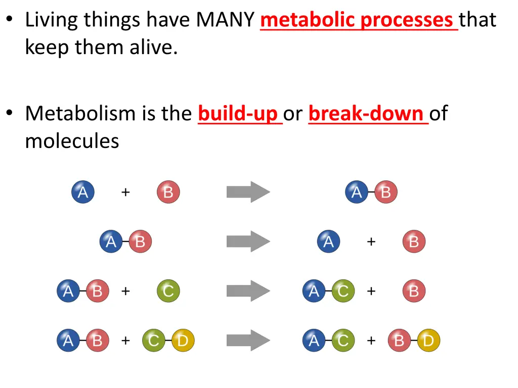 living things have many metabolic processes that 1