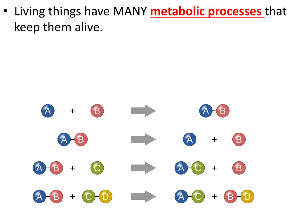 living things have many metabolic processes that