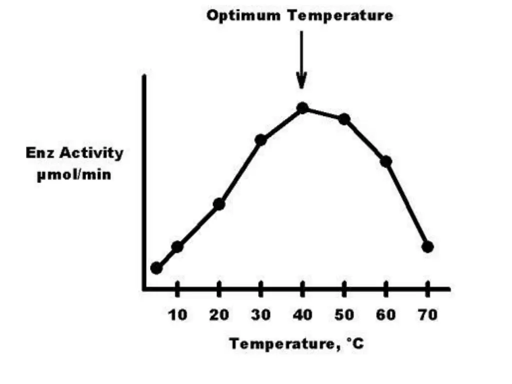 slide19