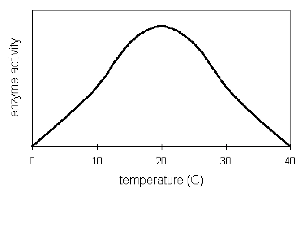 slide20