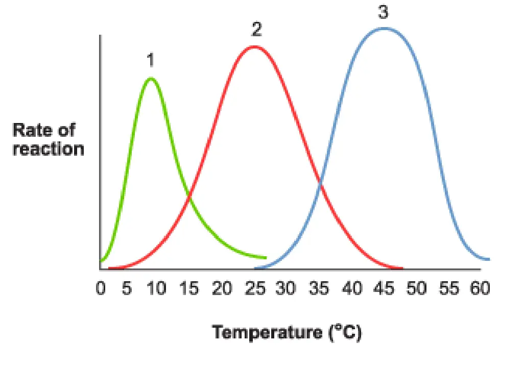 slide21
