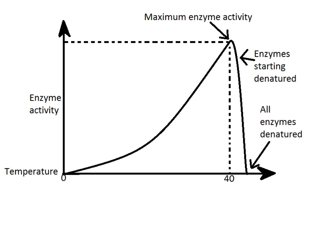 slide22