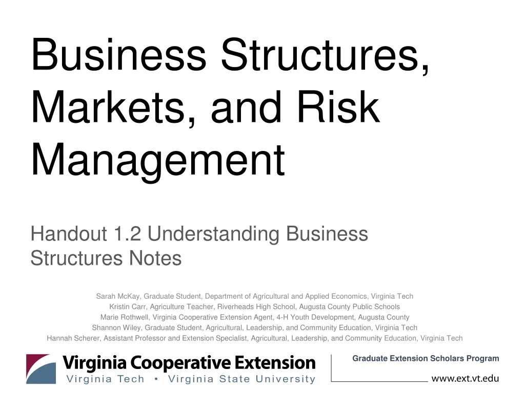 business structures markets and risk management