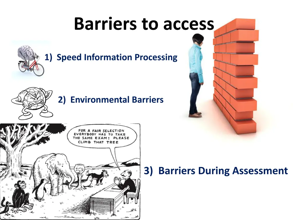 barriers to access