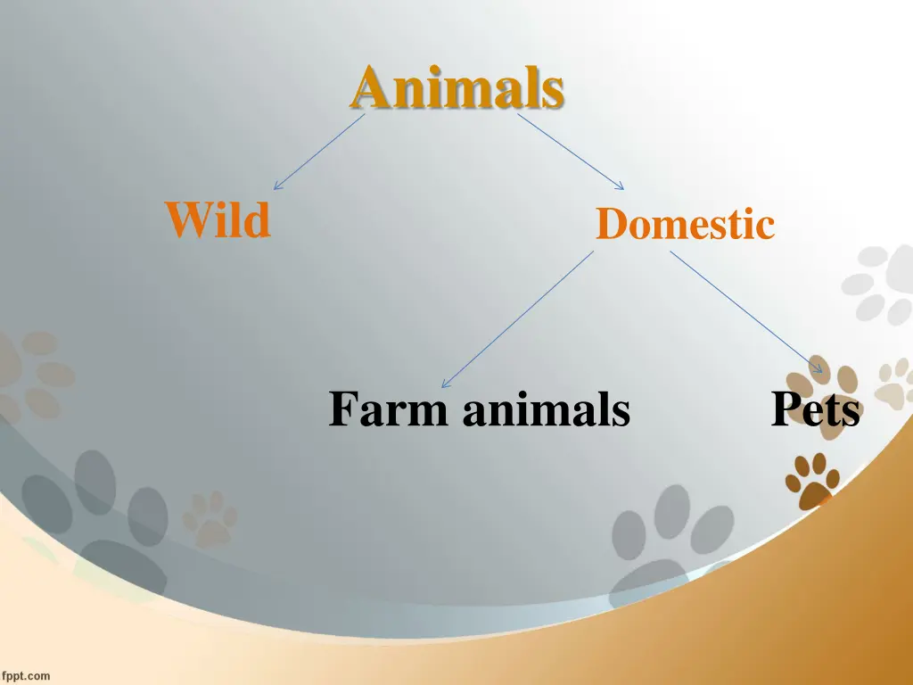 animals 1