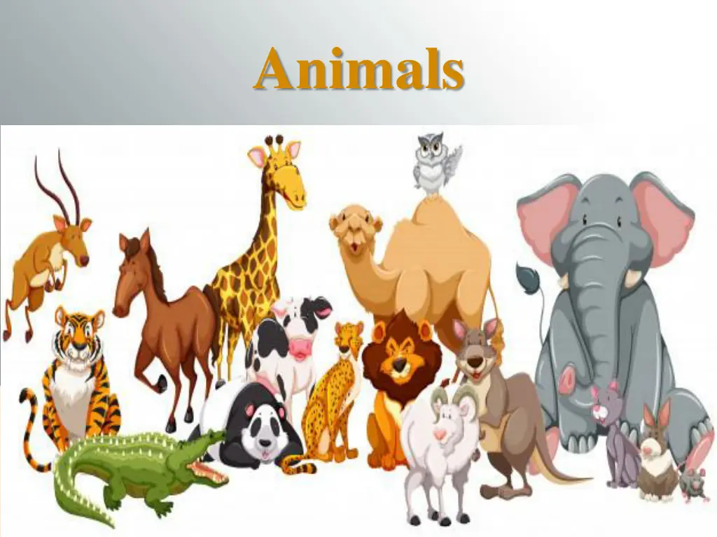 animals
