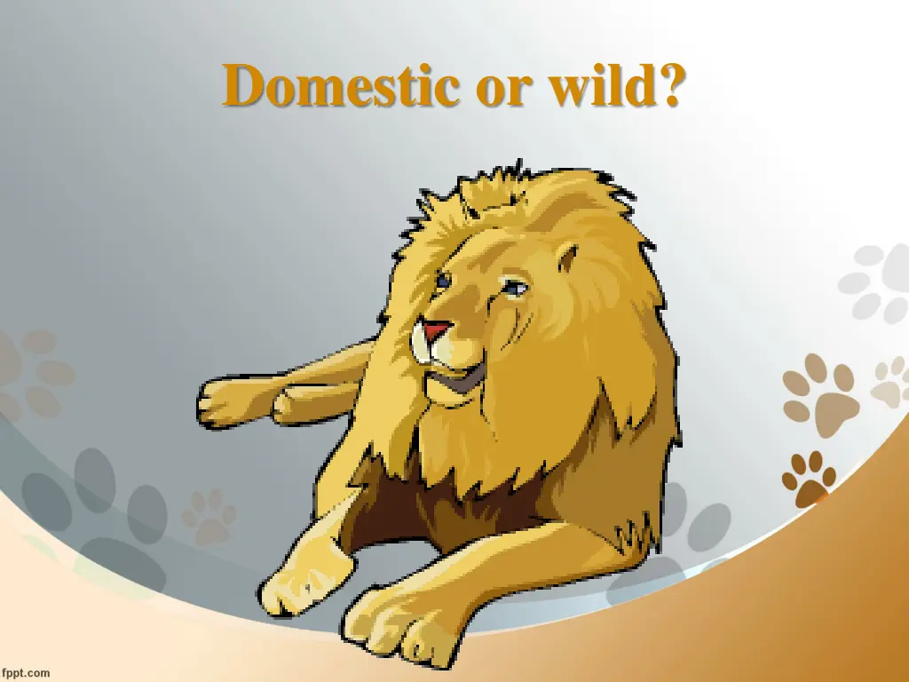 domestic or wild 1