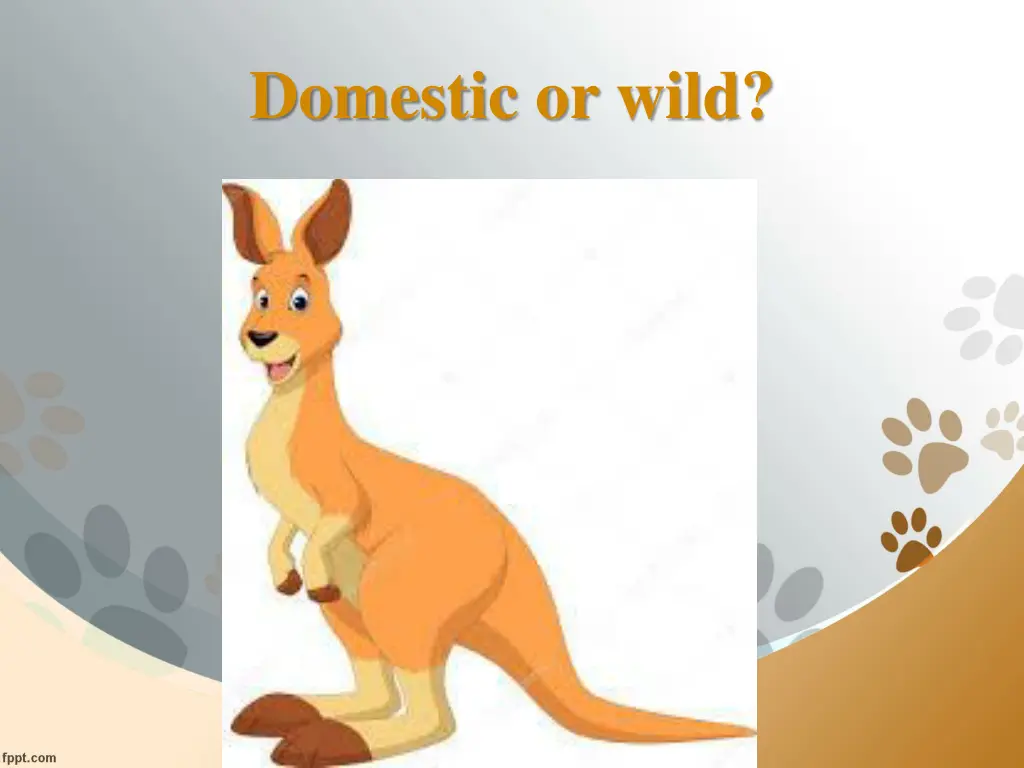 domestic or wild 7