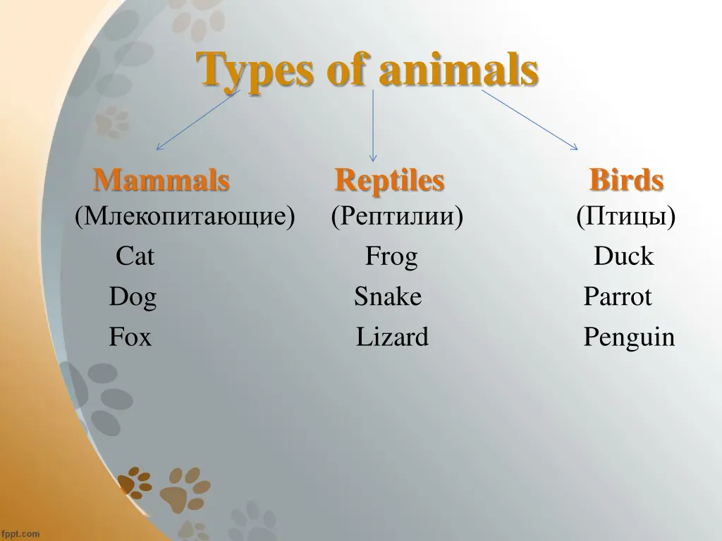 types of animals