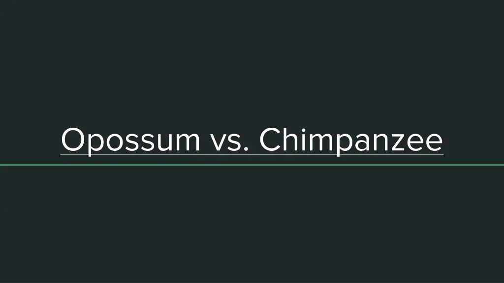 opossum vs chimpanzee