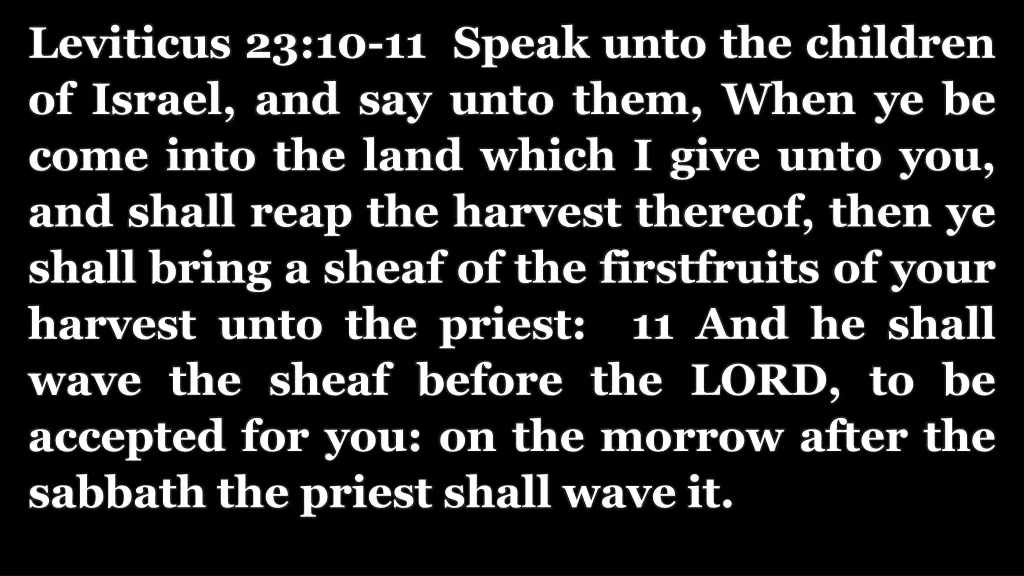 leviticus 23 10 11 speak unto the children