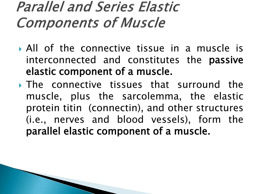 all of the connective tissue in a muscle