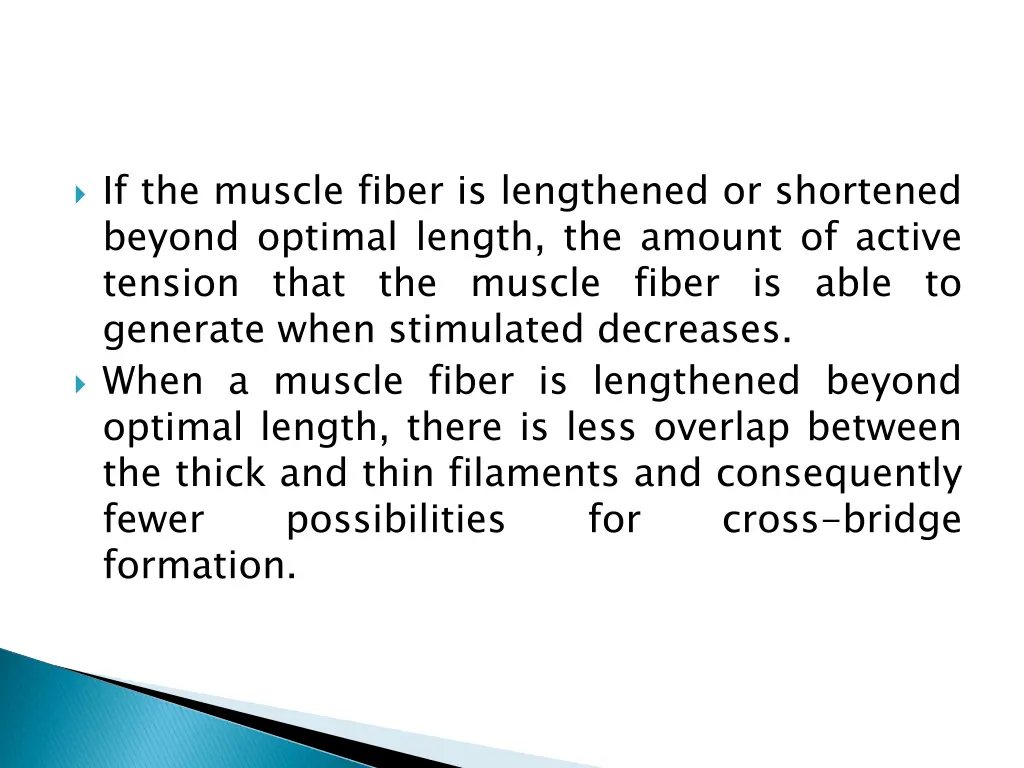 if the muscle fiber is lengthened or shortened