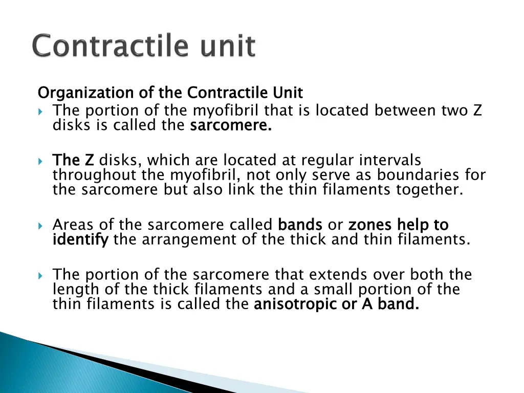 organization of the contractile unit the portion