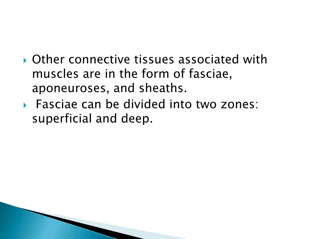 other connective tissues associated with muscles