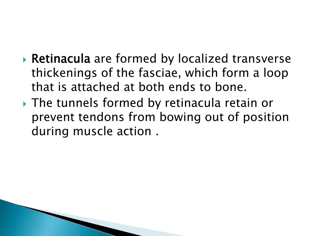 retinacula thickenings of the fasciae which form