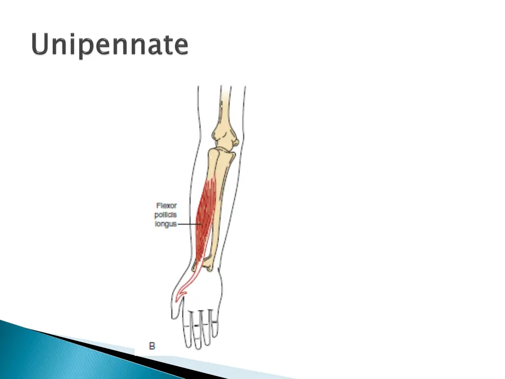 slide23