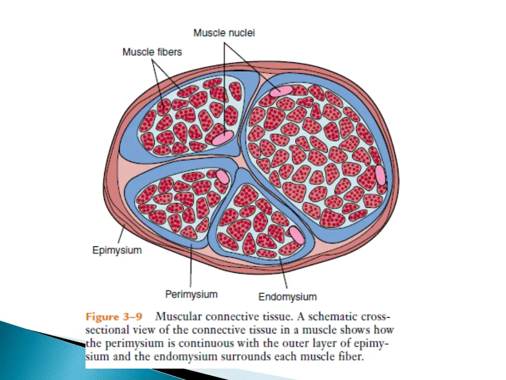 slide27