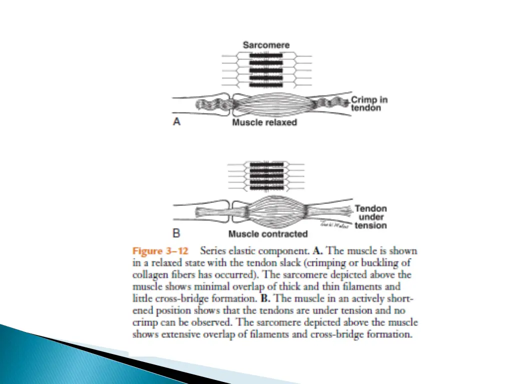 slide39
