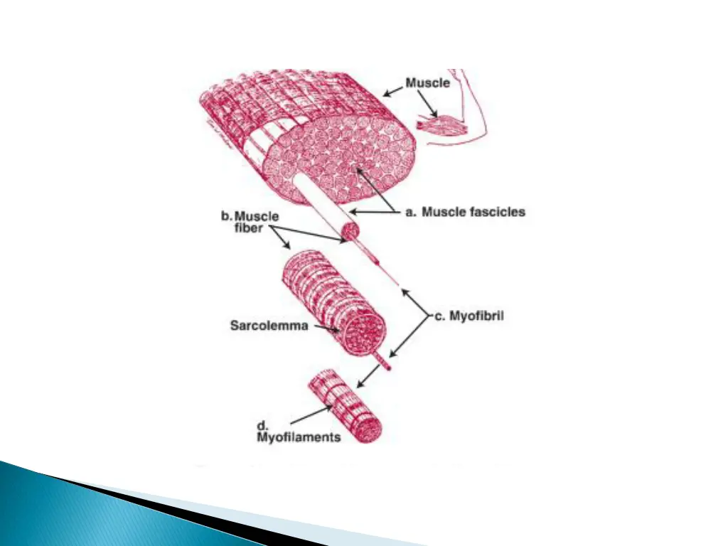 slide4