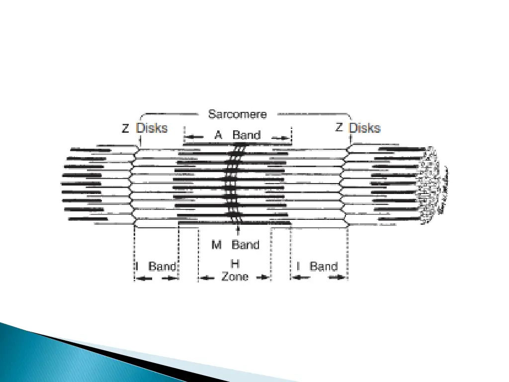 slide8