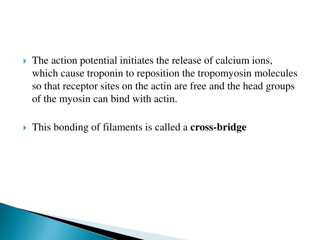 the action potential initiates the release