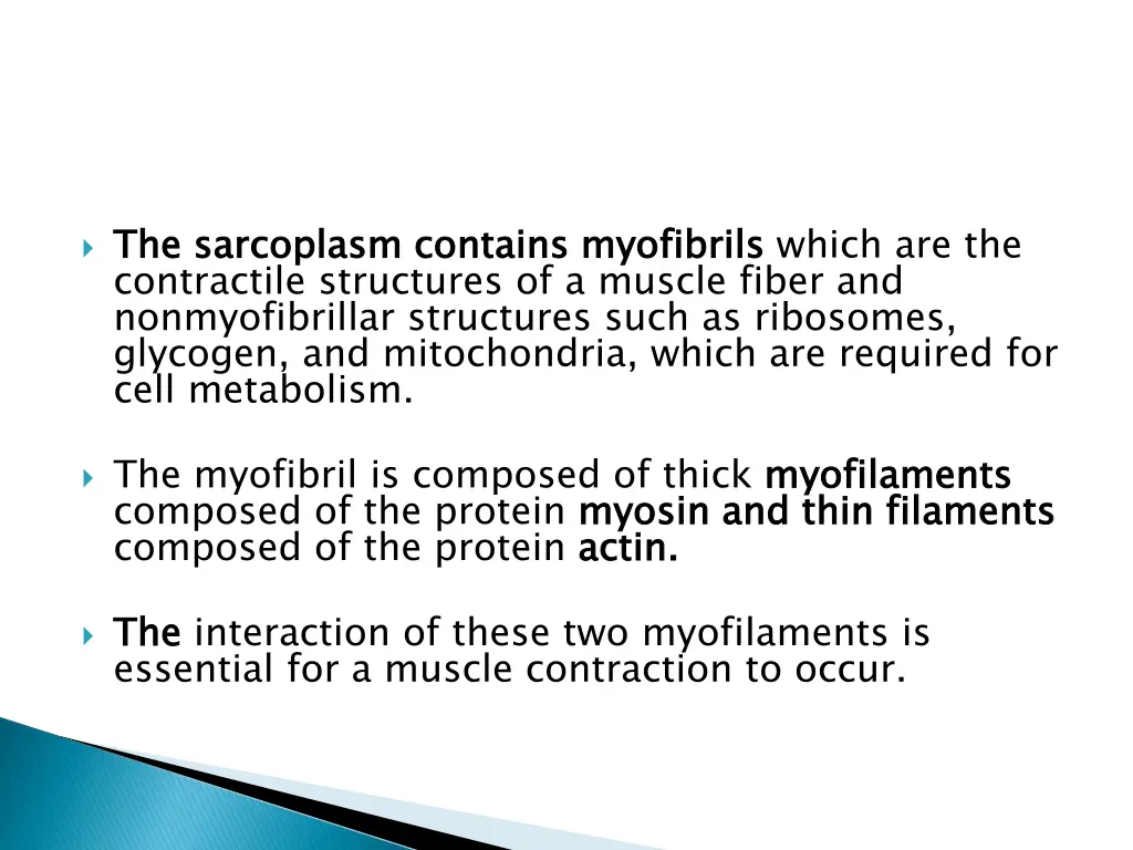 the contractile structures of a muscle fiber