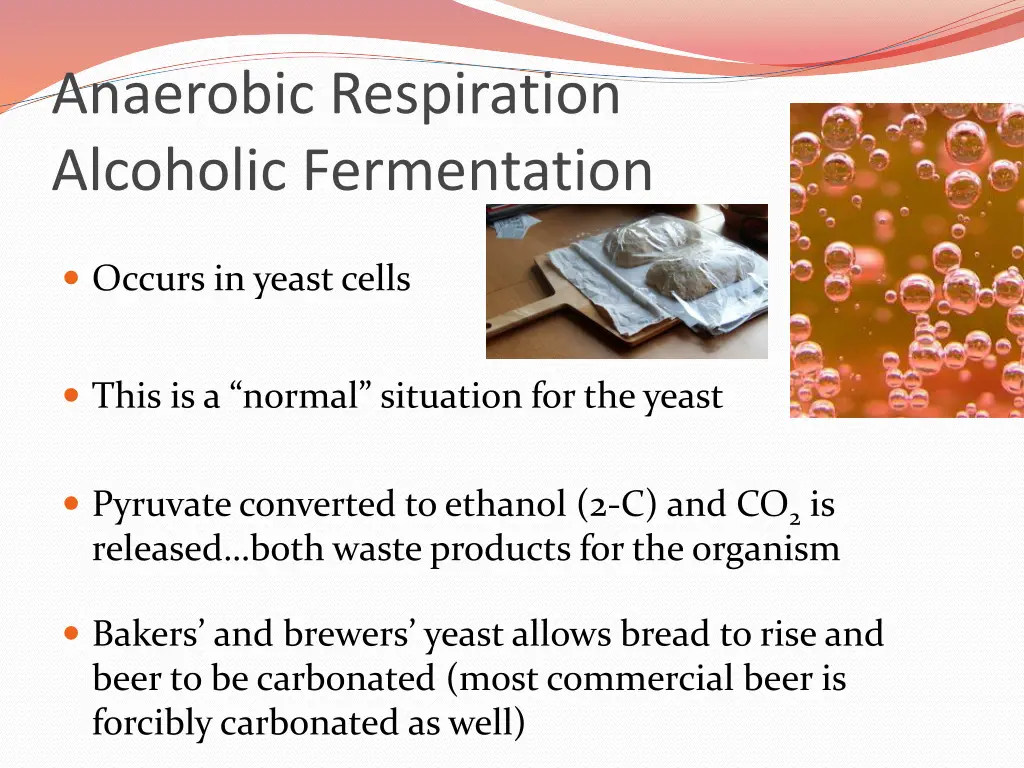 anaerobic respiration alcoholic fermentation
