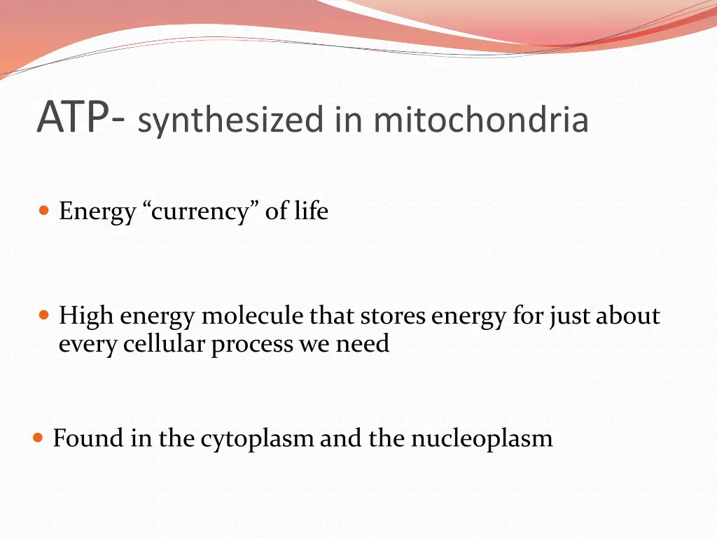 atp synthesized in mitochondria