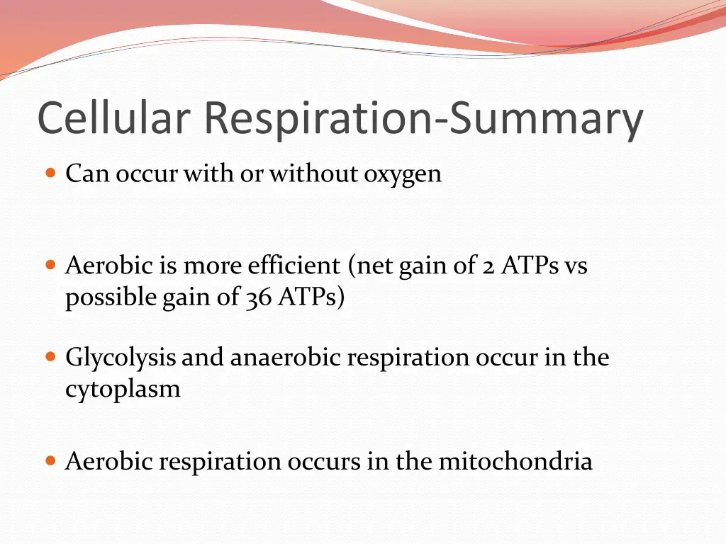 cellular respiration summary