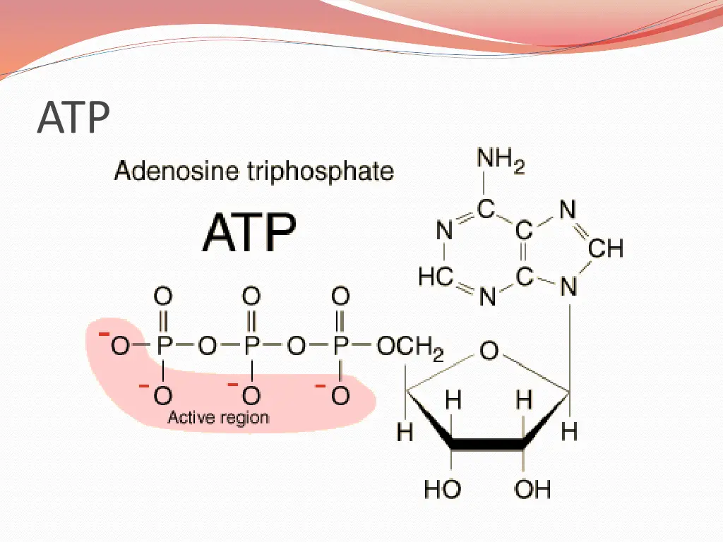 slide5