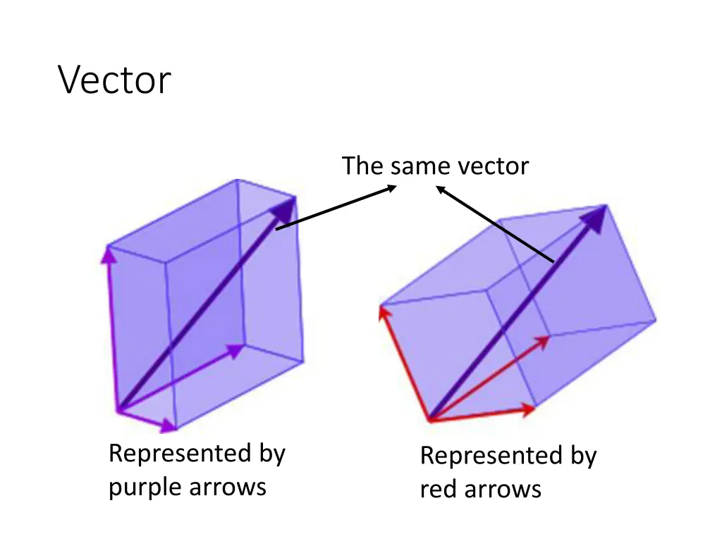 vector 4