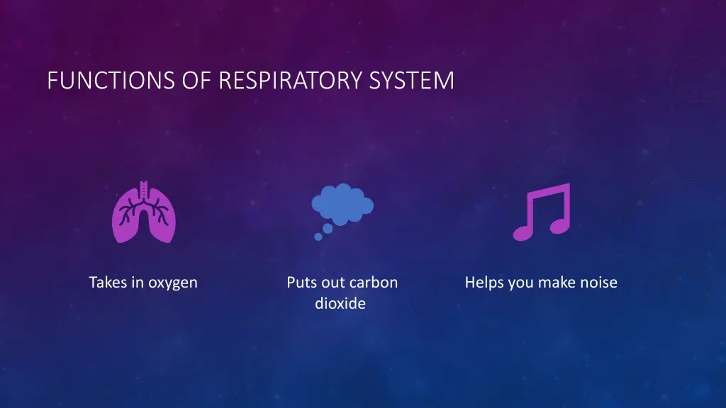 functions of respiratory system