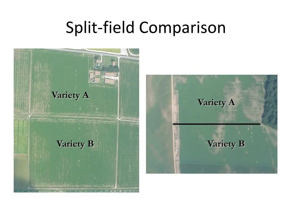 split field comparison