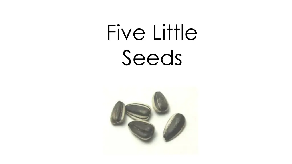 five little seeds
