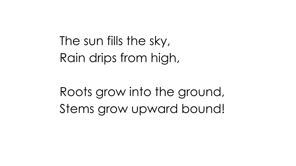 the sun fills the sky rain drips from high