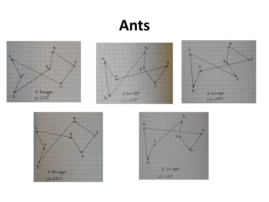 slide7