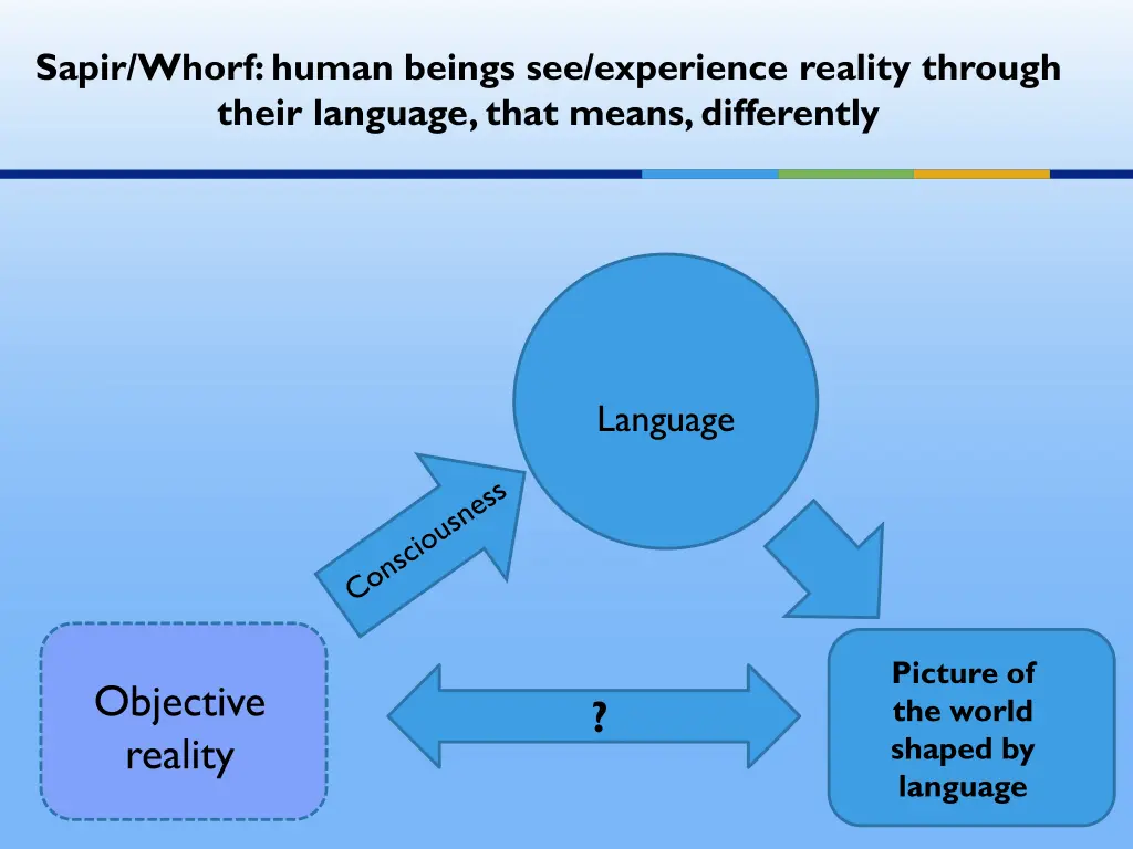 sapir whorf human beings see experience reality