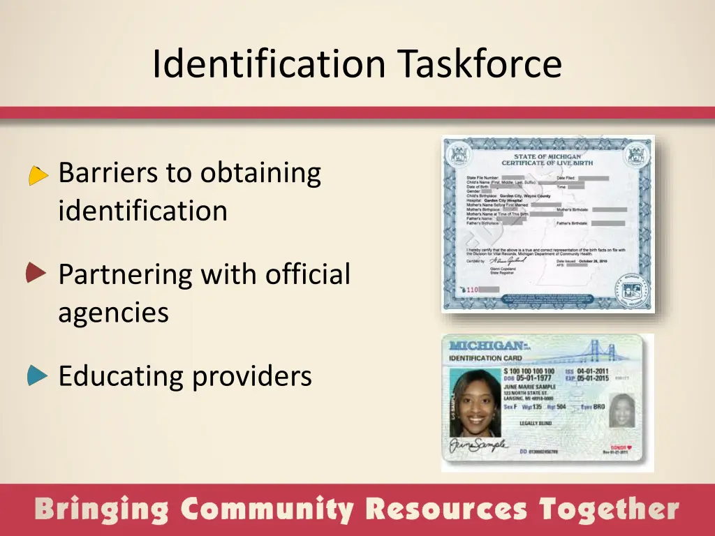 identification taskforce